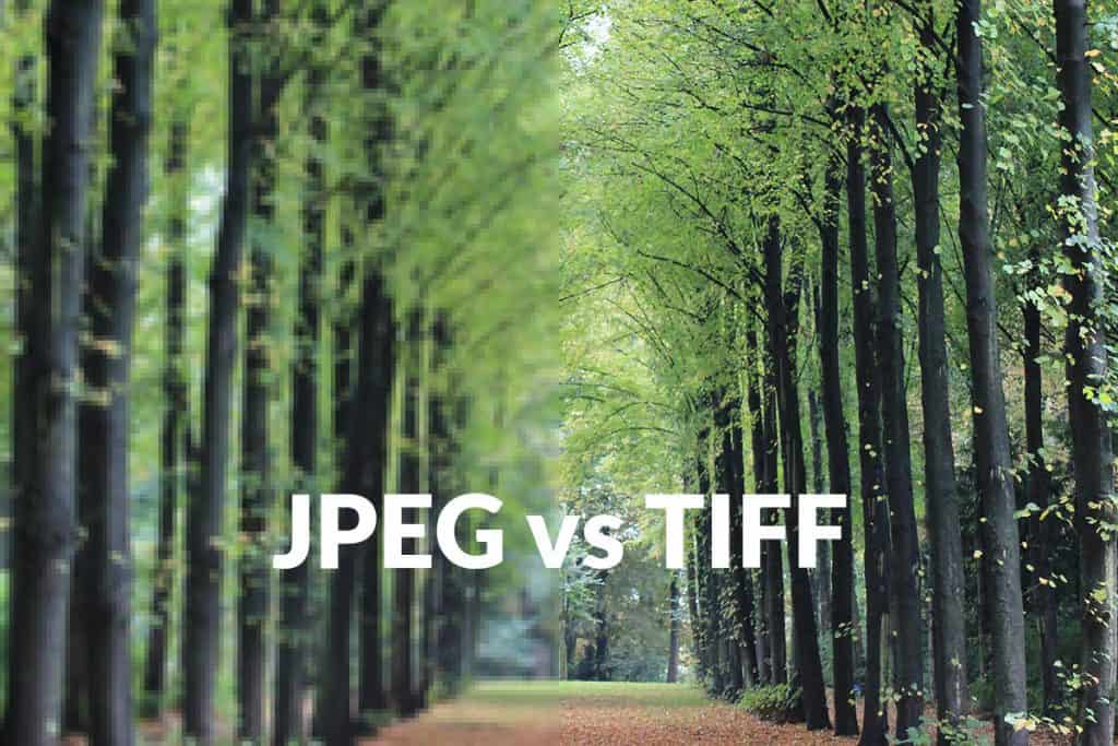 JPEG vs TIFF was soll man wofür benutzen?
