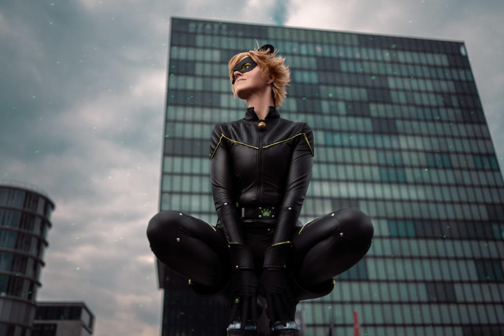 Cat Noir Miraculous Cosplayshooting mit Nuttshell Cosplay